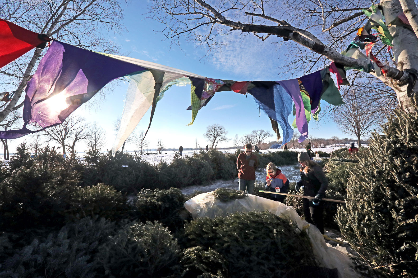 Fabric banners